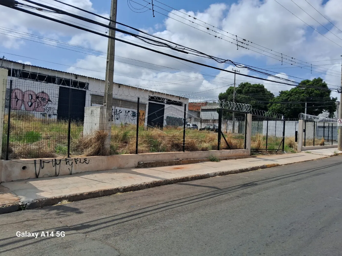 Alugar Rural / Galp&amp;atilde;o em Bauru R$ 12.000,00 - Foto 4
