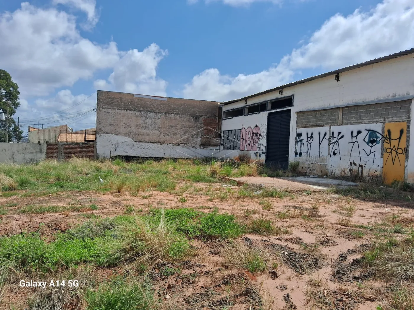 Alugar Rural / Galp&amp;atilde;o em Bauru R$ 12.000,00 - Foto 6