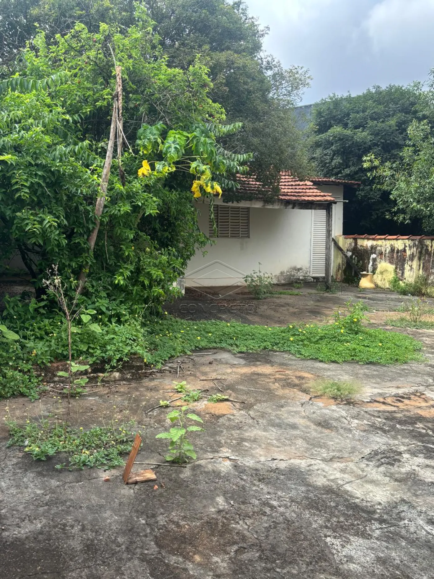 Comprar Casa / Padr&atilde;o em Bauru R$ 280.000,00 - Foto 3