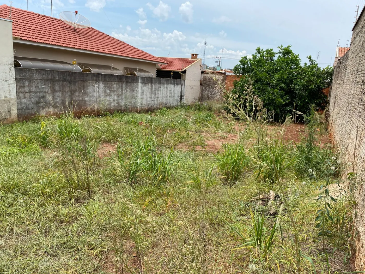 Comprar Terreno / Padr&atilde;o em Len&ccedil;&oacute;is Paulista R$ 195.000,00 - Foto 2