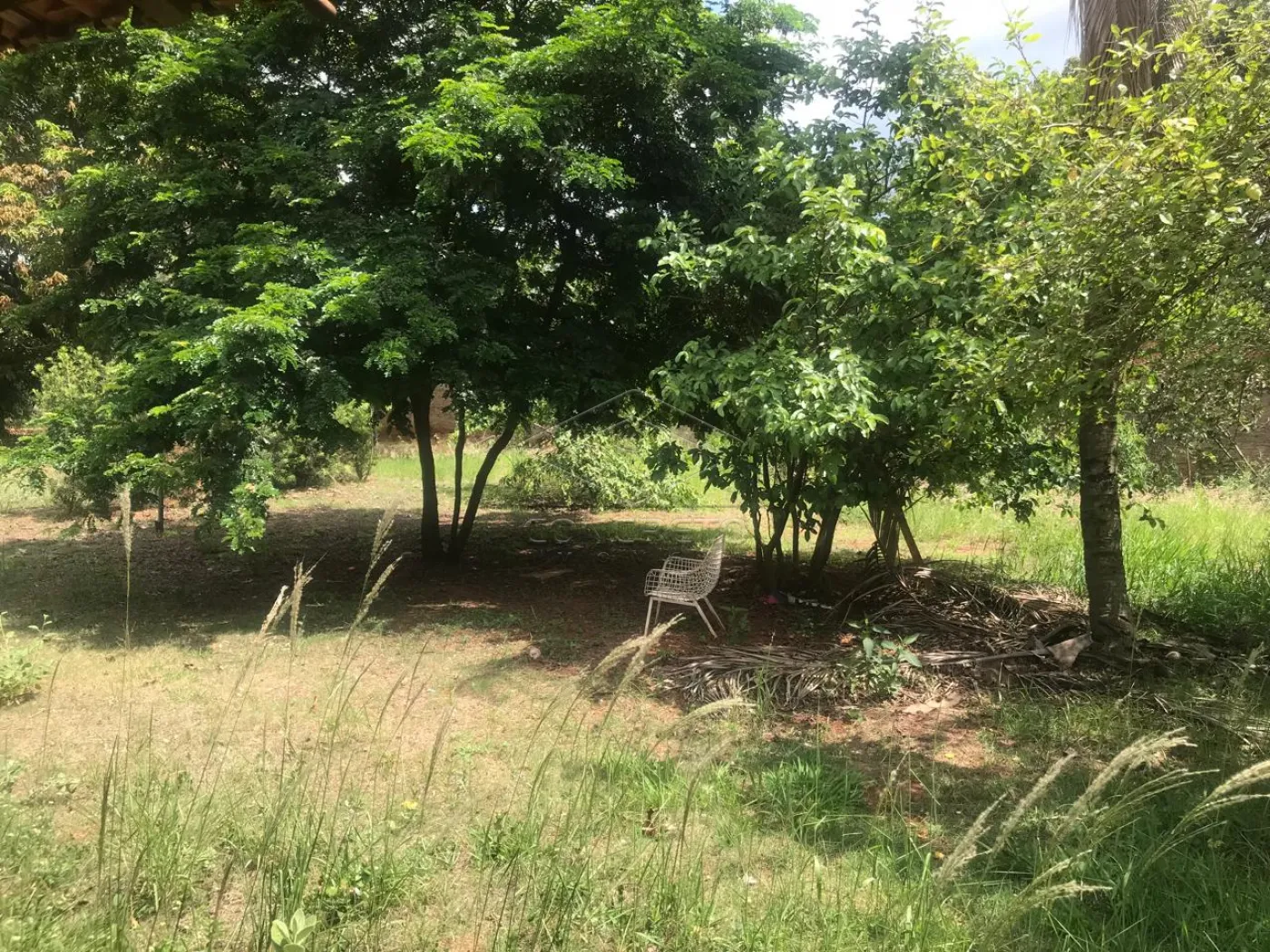 Comprar Rural / Ch&aacute;caraFazenda em Len&ccedil;&oacute;is Paulista R$ 600.000,00 - Foto 2