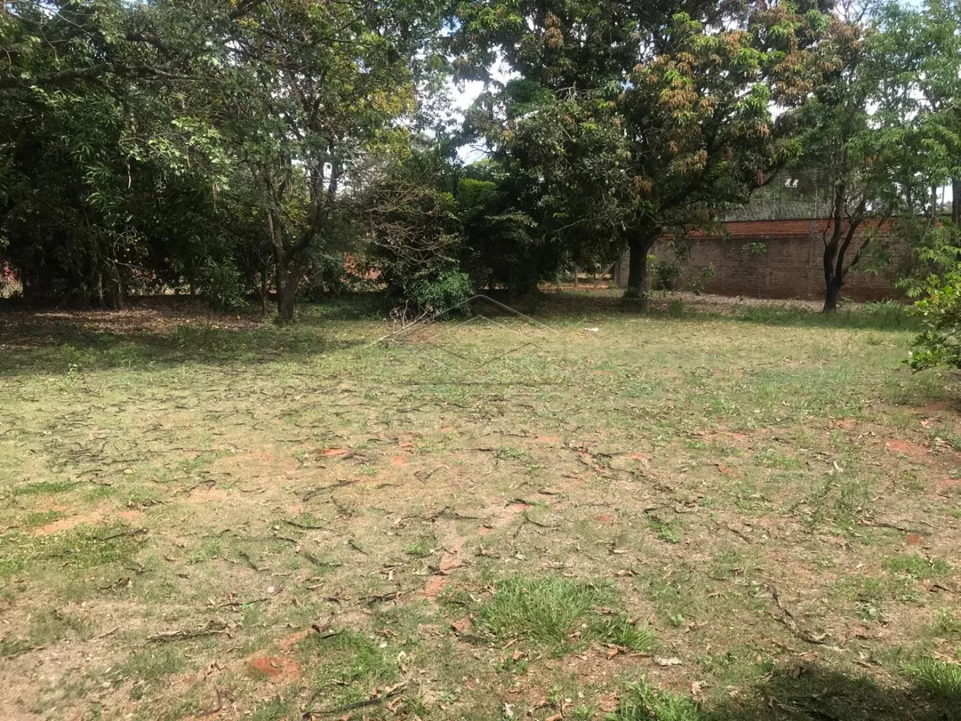 Comprar Rural / Ch&aacute;caraFazenda em Len&ccedil;&oacute;is Paulista R$ 600.000,00 - Foto 8