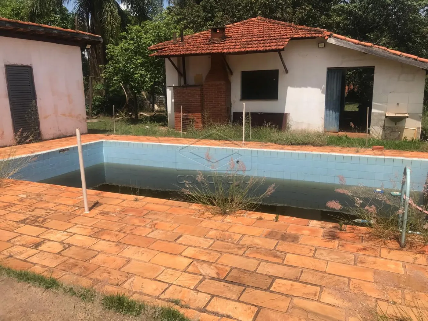 Comprar Rural / Ch&aacute;caraFazenda em Len&ccedil;&oacute;is Paulista R$ 600.000,00 - Foto 10
