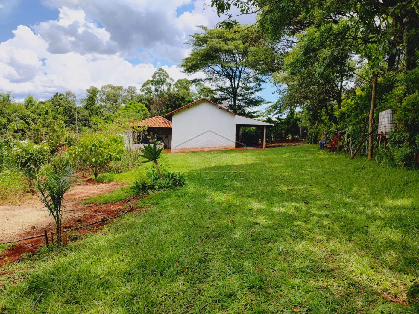 Comprar Rural / Ch&aacute;caraFazenda em Len&ccedil;&oacute;is Paulista R$ 500.000,00 - Foto 1