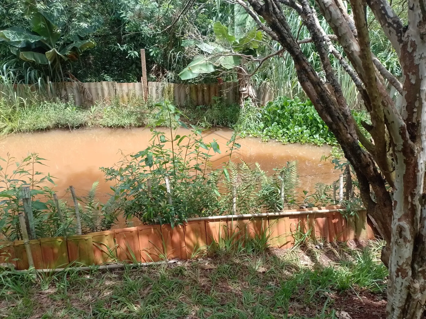 Comprar Rural / Ch&aacute;caraFazenda em Len&ccedil;&oacute;is Paulista R$ 500.000,00 - Foto 14