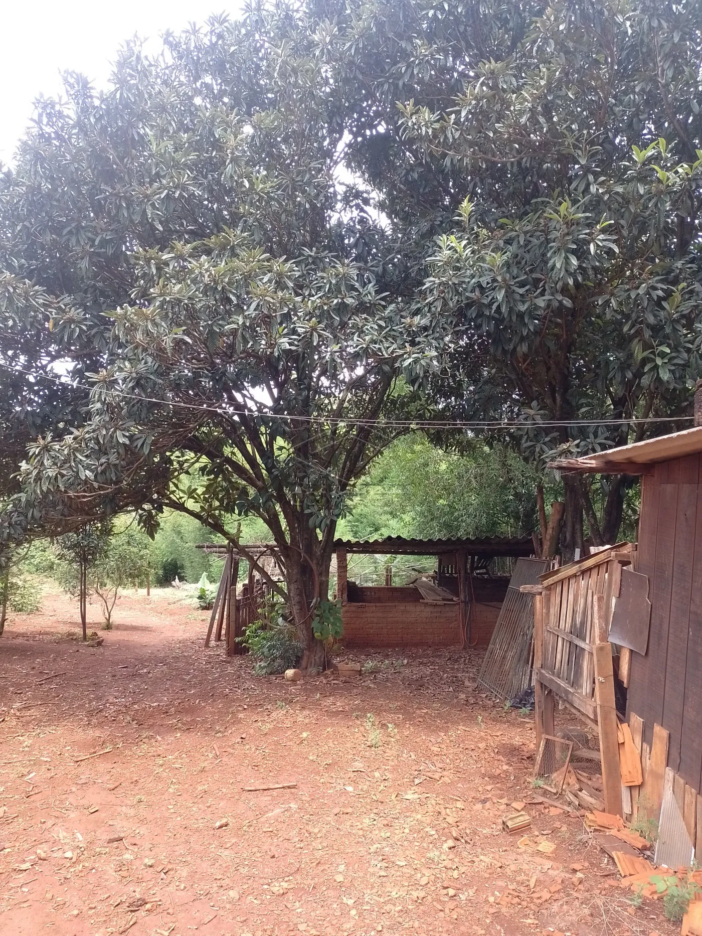Comprar Rural / Ch&aacute;caraFazenda em Len&ccedil;&oacute;is Paulista R$ 500.000,00 - Foto 17