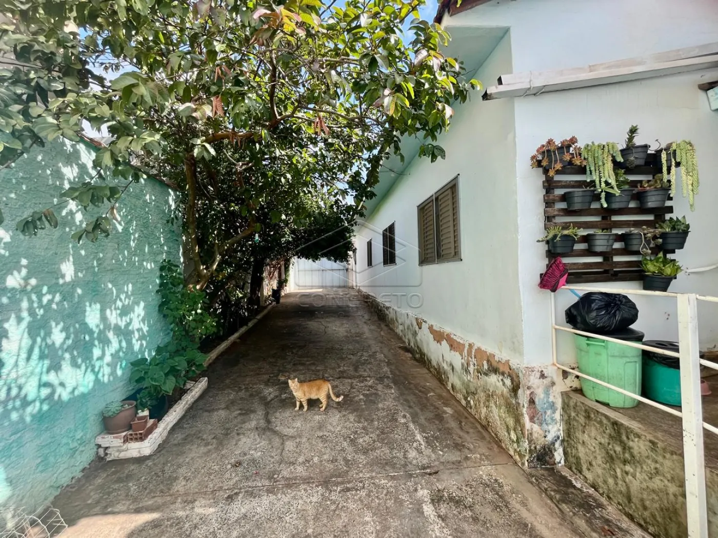 Alugar Casa / Padr&atilde;o em Len&ccedil;&oacute;is Paulista R$ 4.000,00 - Foto 11