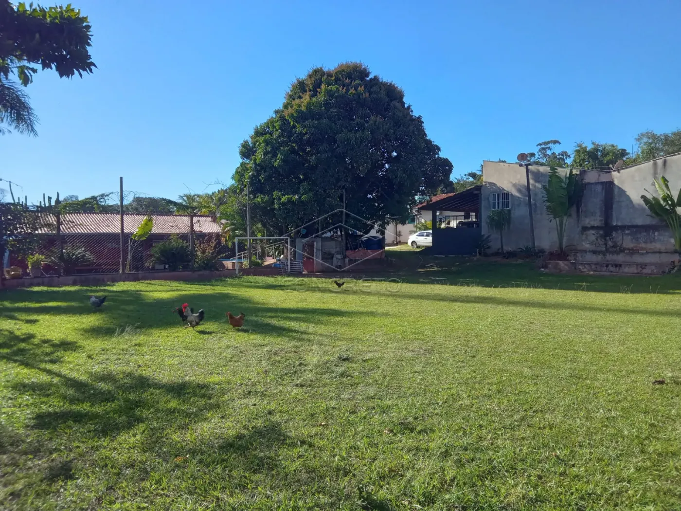 Comprar Casa / Padr&atilde;o em Bauru R$ 1.700.000,00 - Foto 4