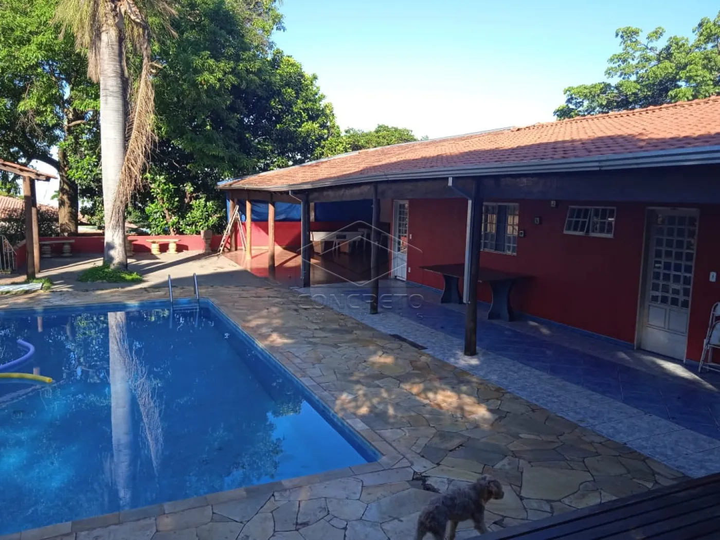 Comprar Casa / Padr&atilde;o em Bauru R$ 1.700.000,00 - Foto 7