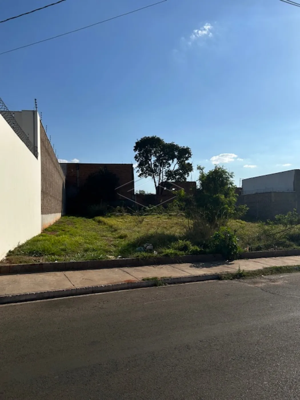 Comprar Terreno / Padr&atilde;o em Bauru R$ 650.000,00 - Foto 1