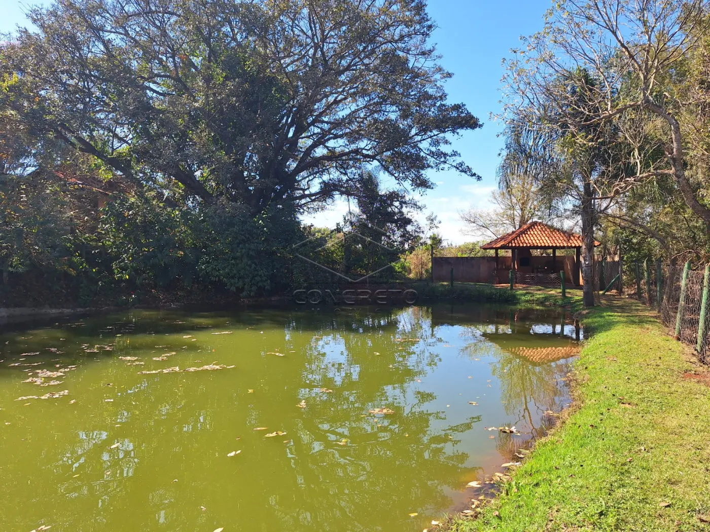 Alugar Rural / Ch&aacute;caraFazenda em Len&ccedil;&oacute;is Paulista R$ 2.000,00 - Foto 2