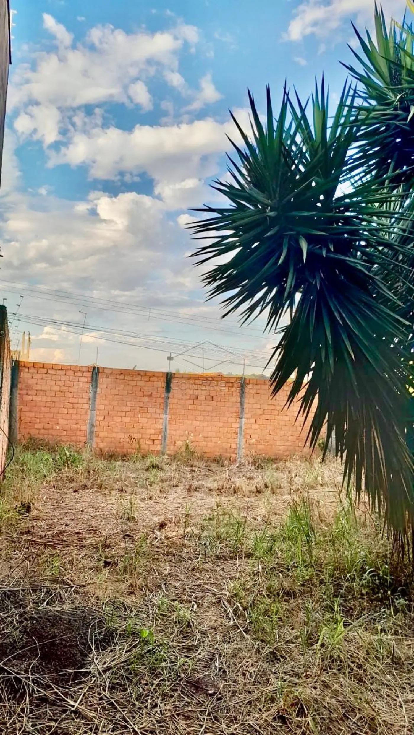 Comprar Casa / Padr&atilde;o em Len&ccedil;&oacute;is Paulista R$ 310.000,00 - Foto 14