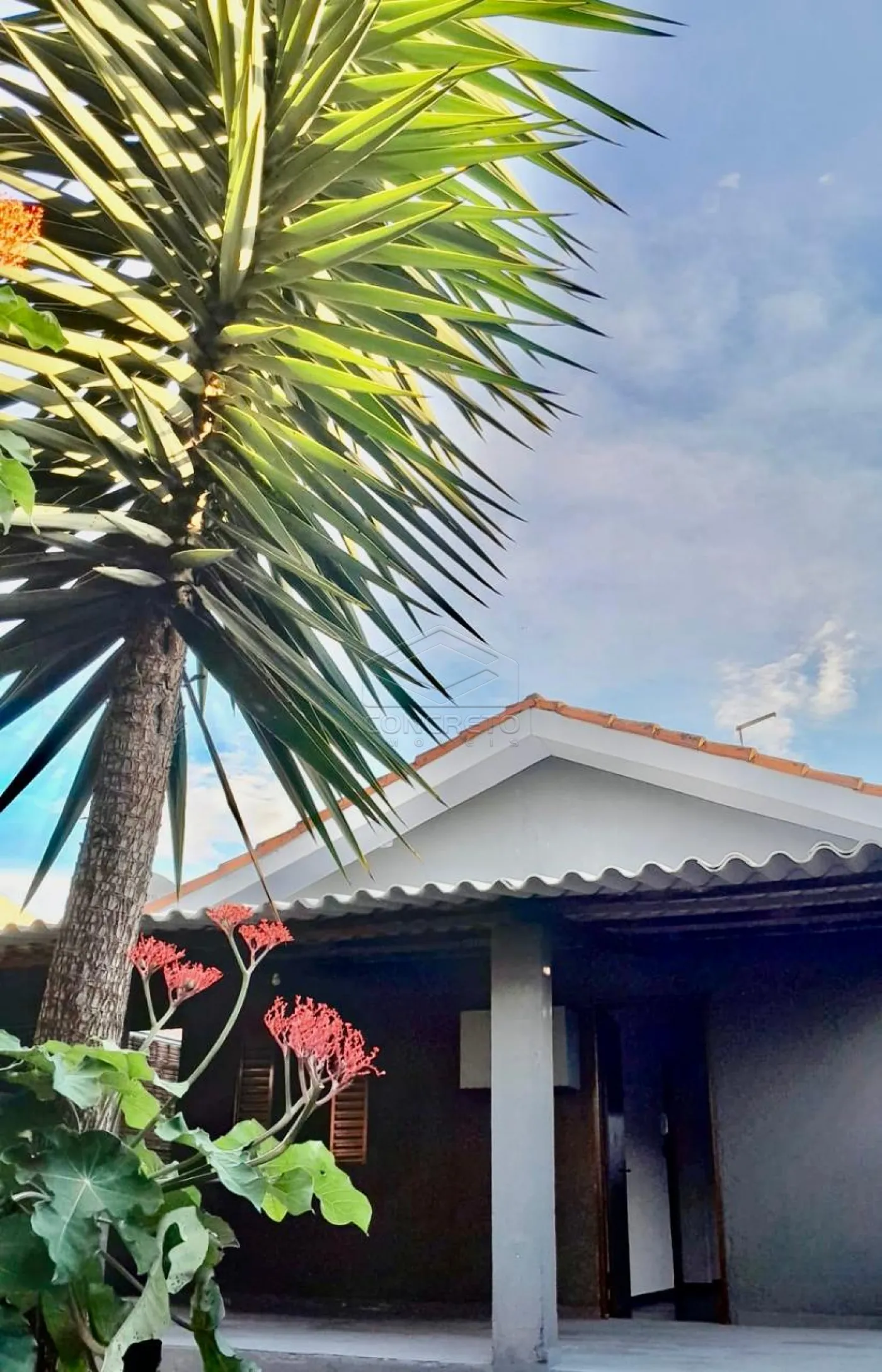 Comprar Casa / Padr&atilde;o em Len&ccedil;&oacute;is Paulista R$ 310.000,00 - Foto 15