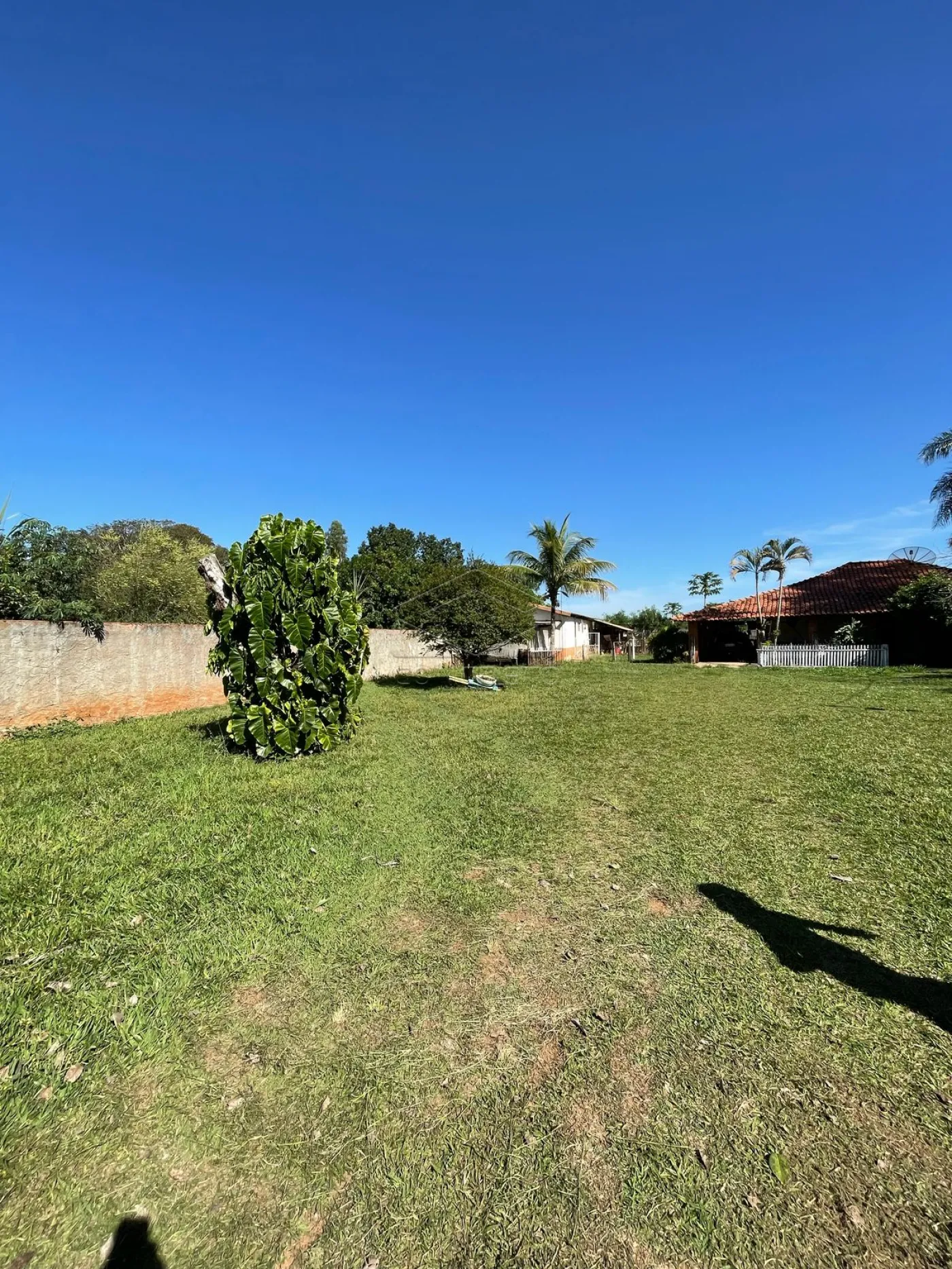 Alugar Rural / Ch&aacute;caraFazenda em Len&ccedil;&oacute;is Paulista R$ 2.000,00 - Foto 1