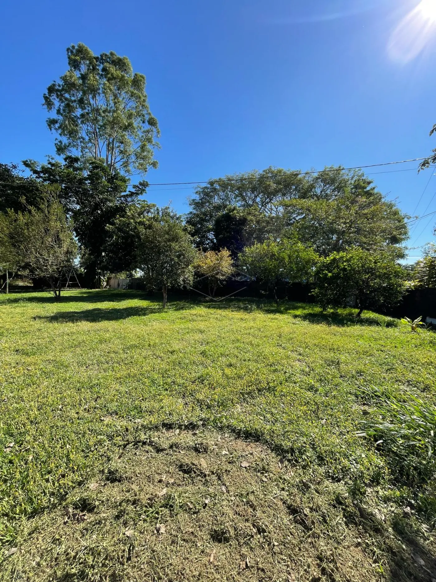 Alugar Rural / Ch&aacute;caraFazenda em Len&ccedil;&oacute;is Paulista R$ 2.000,00 - Foto 2
