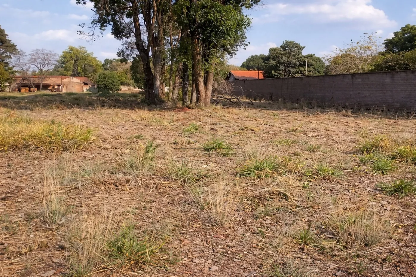 Comprar Rural / Ch&aacute;caraFazenda em Len&ccedil;&oacute;is Paulista R$ 785.000,00 - Foto 1
