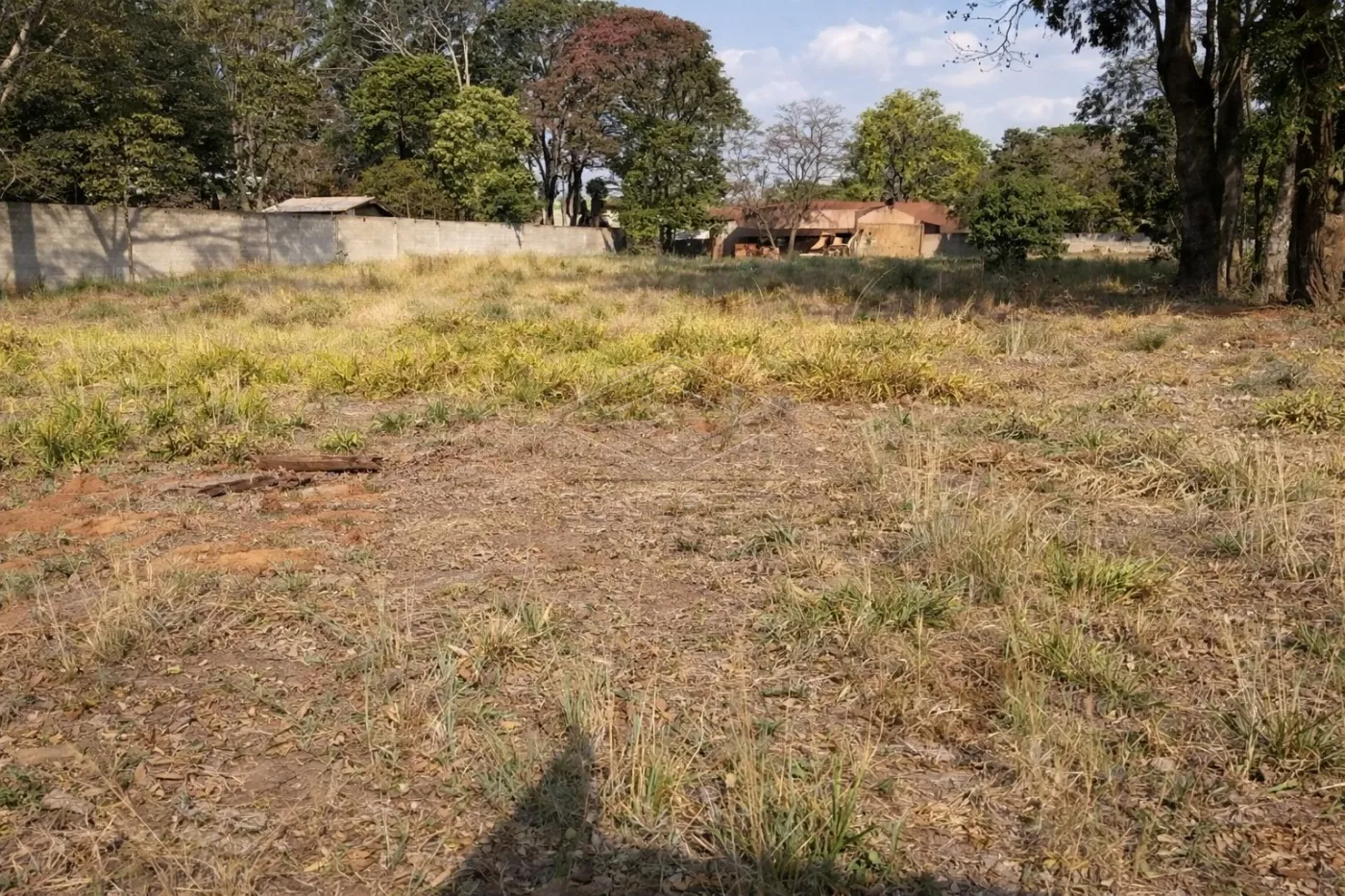 Comprar Rural / Ch&aacute;caraFazenda em Len&ccedil;&oacute;is Paulista R$ 785.000,00 - Foto 3