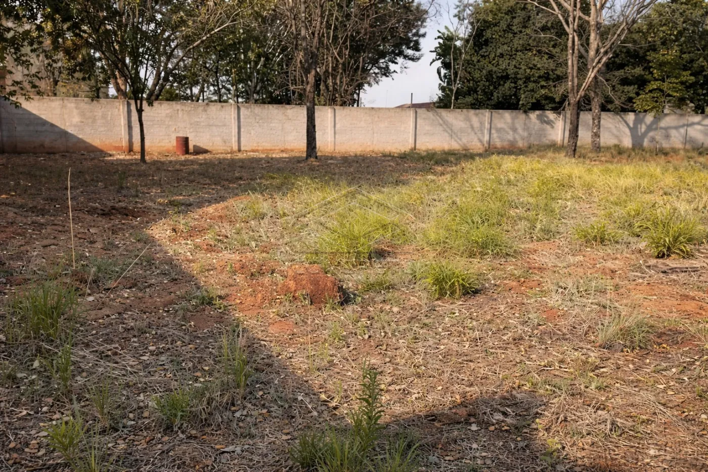 Comprar Rural / Ch&aacute;caraFazenda em Len&ccedil;&oacute;is Paulista R$ 785.000,00 - Foto 5