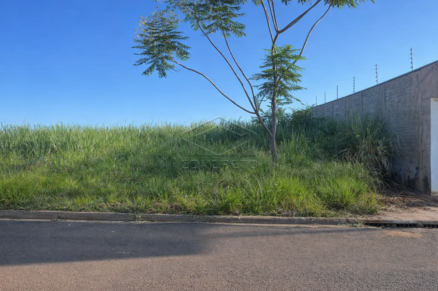 Comprar Terreno / Padr&atilde;o em Len&ccedil;&oacute;is Paulista R$ 210.000,00 - Foto 2