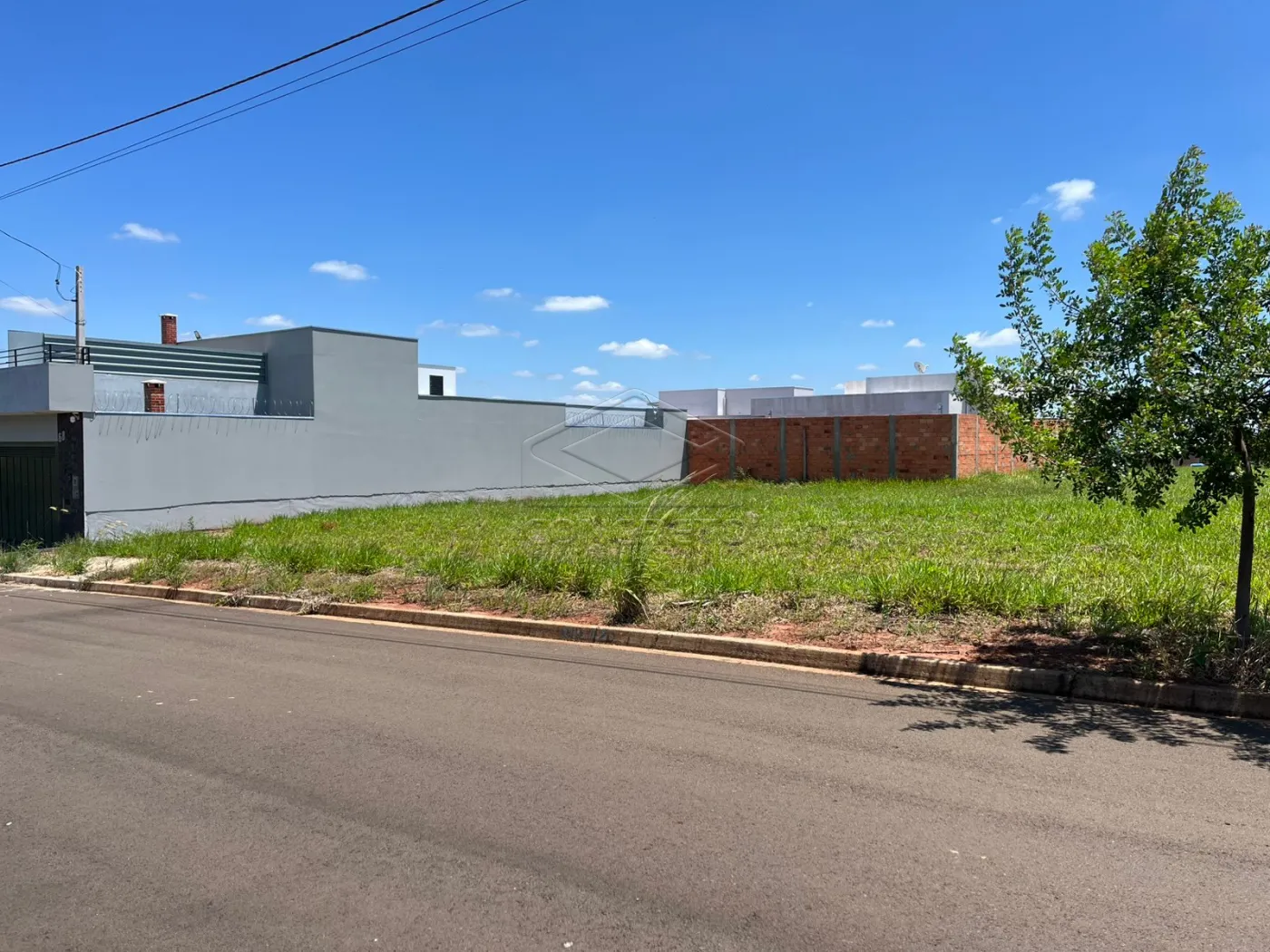 Comprar Terreno / Padr&atilde;o em Len&ccedil;&oacute;is Paulista R$ 159.000,00 - Foto 2