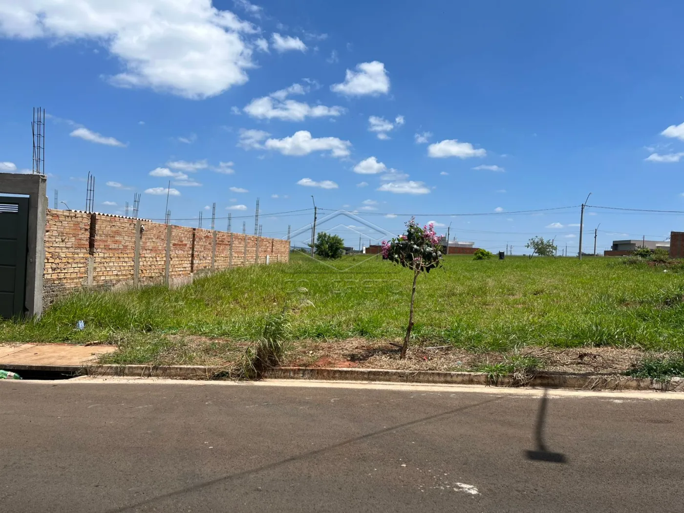 Comprar Terreno / Padr&atilde;o em Len&ccedil;&oacute;is Paulista R$ 159.000,00 - Foto 1