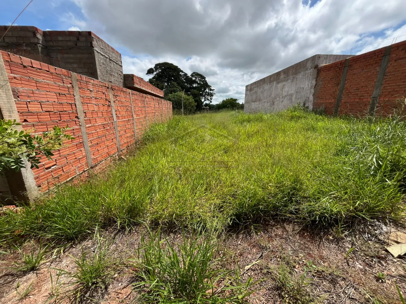 Comprar Terreno / Padr&atilde;o em Len&ccedil;&oacute;is Paulista R$ 129.000,00 - Foto 1