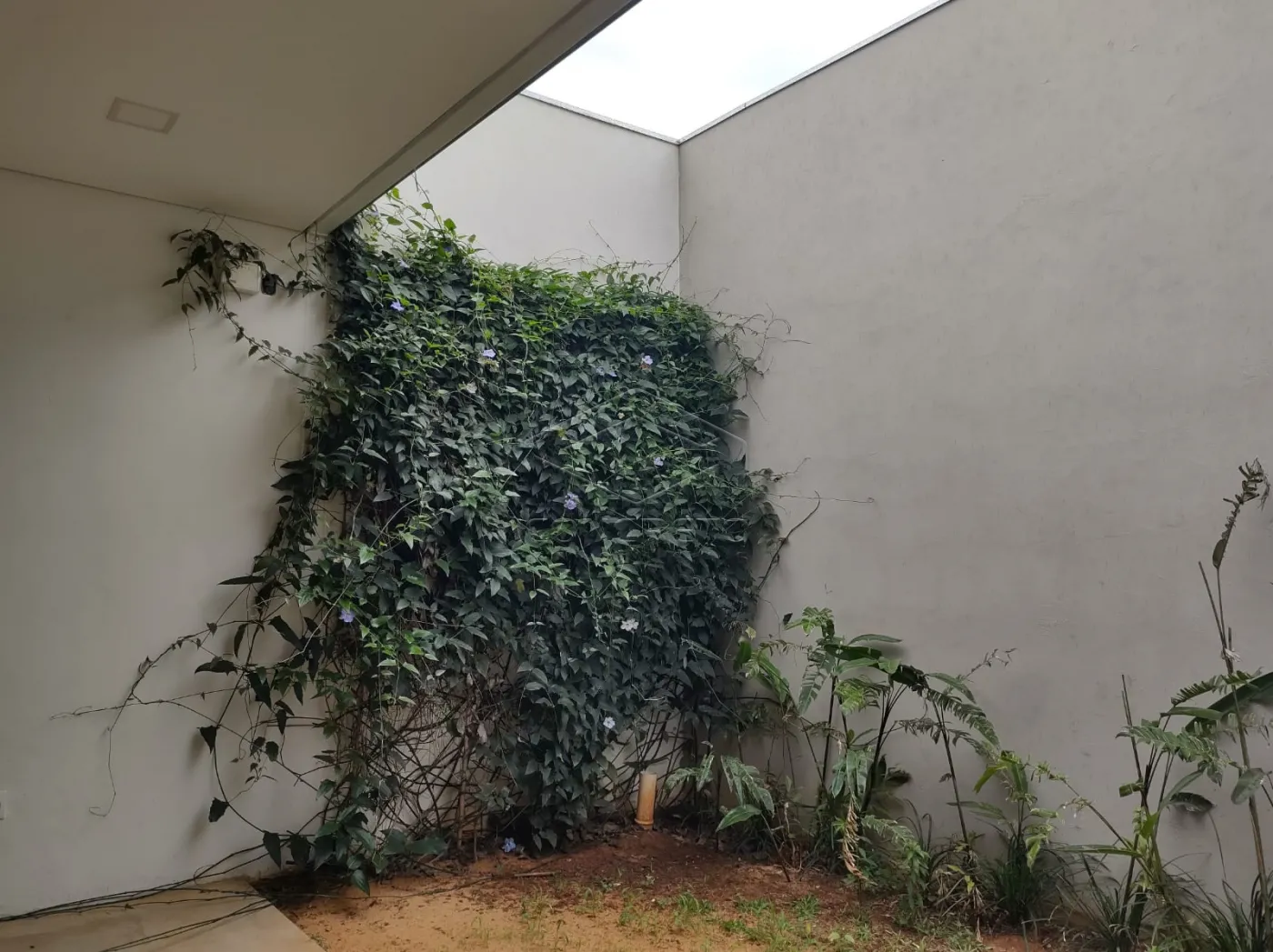 Comprar Comercial / Loja em Bauru R$ 1.100.000,00 - Foto 19