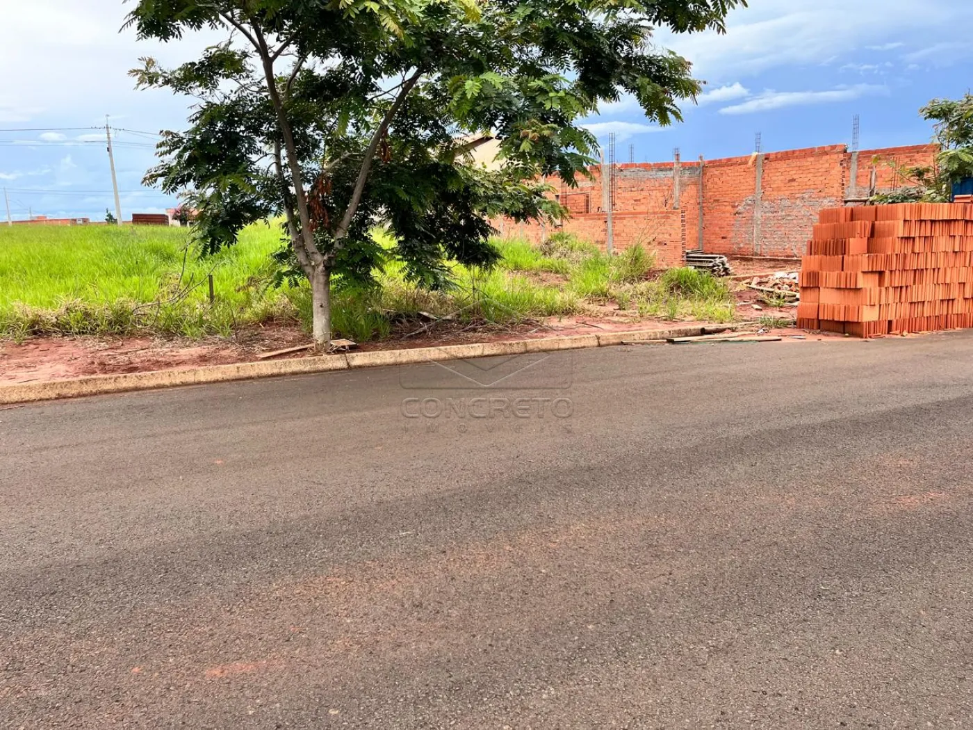 Comprar Terreno / Padr&atilde;o em Len&ccedil;&oacute;is Paulista R$ 139.000,00 - Foto 2