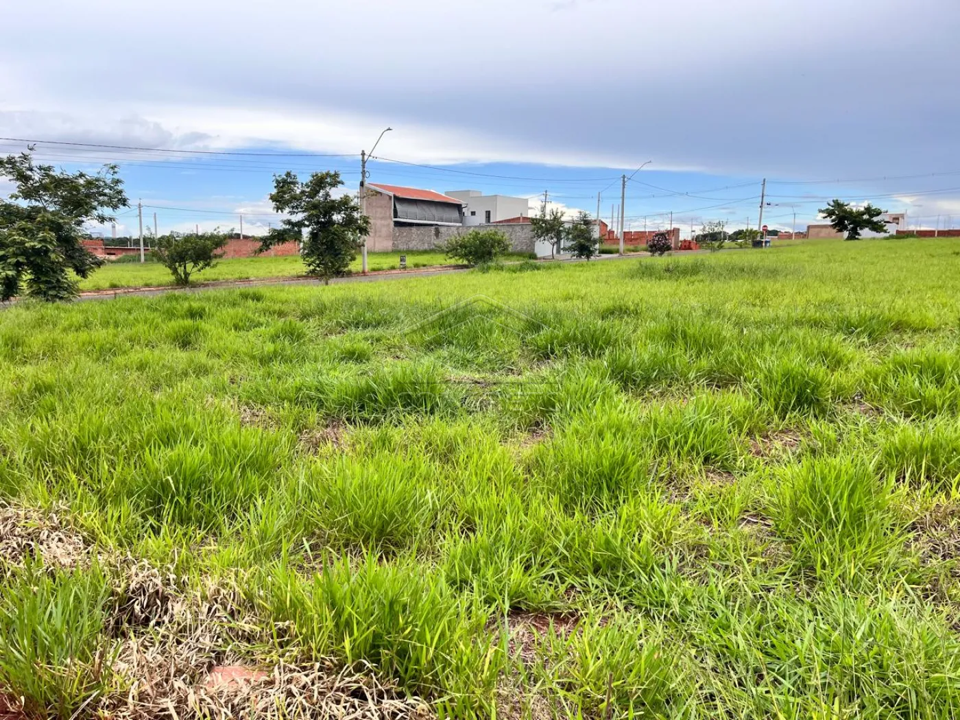 Comprar Terreno / Padr&atilde;o em Len&ccedil;&oacute;is Paulista R$ 139.000,00 - Foto 4