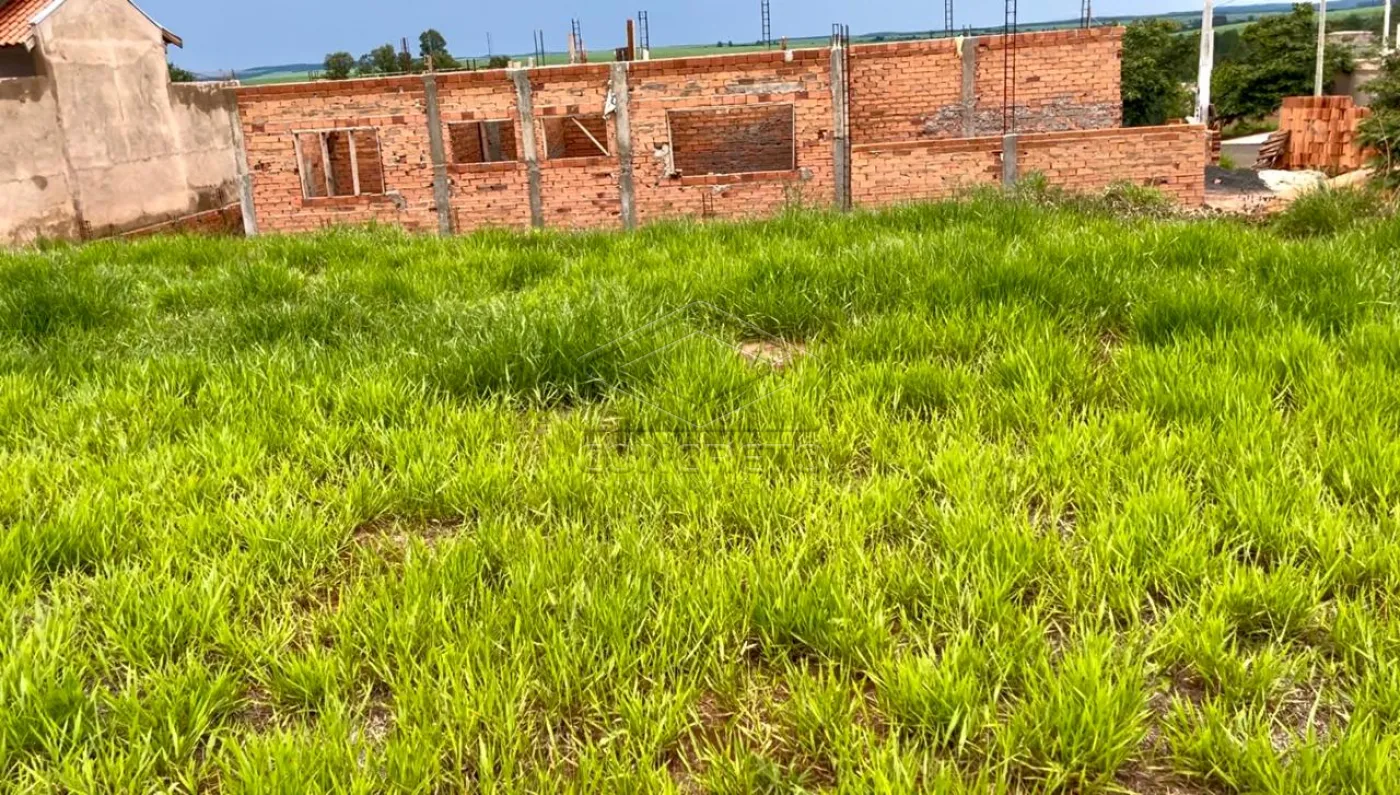 Comprar Terreno / Padr&atilde;o em Len&ccedil;&oacute;is Paulista R$ 139.000,00 - Foto 6