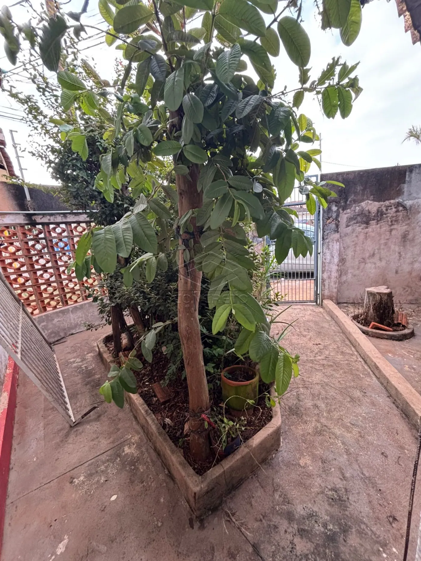Alugar Casa / Resid&ecirc;ncia em Len&ccedil;&oacute;is Paulista R$ 2.000,00 - Foto 15