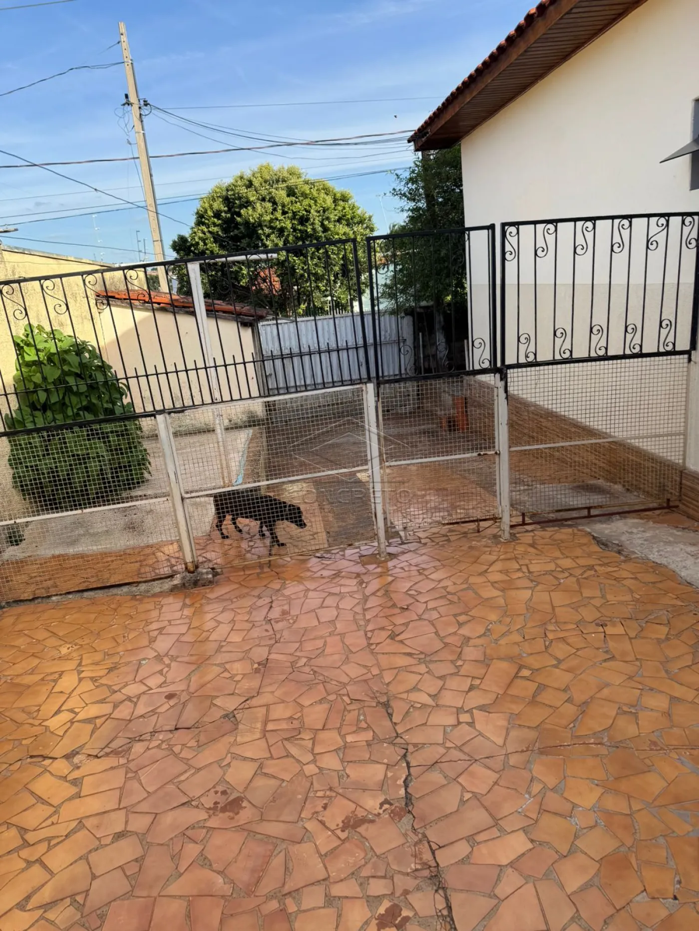 Comprar Casa / Resid&ecirc;ncia em Len&ccedil;&oacute;is Paulista R$ 550.000,00 - Foto 8