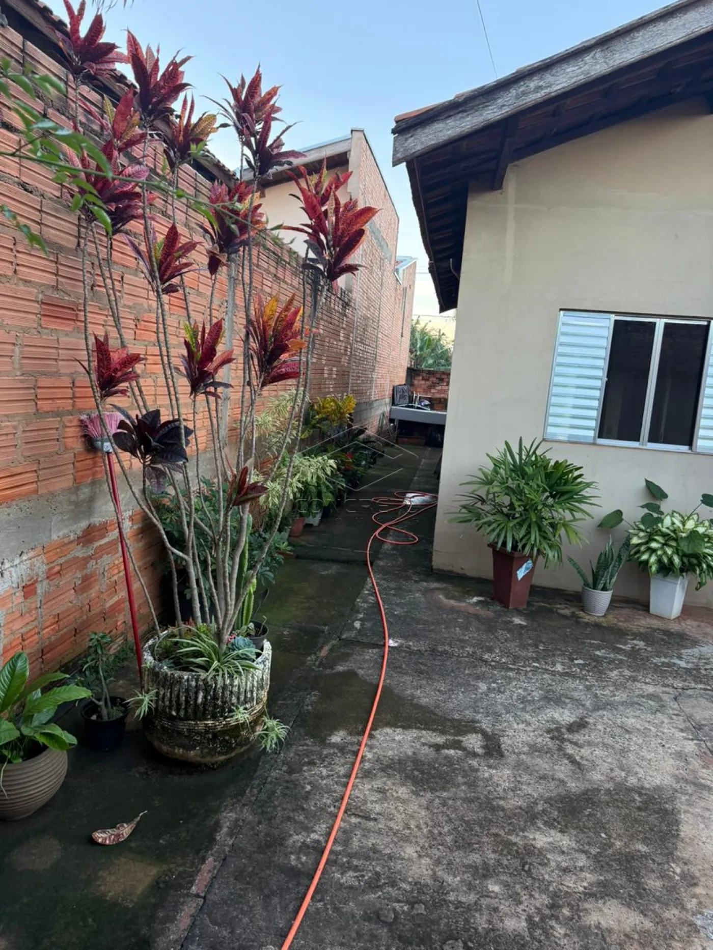 Comprar Casa / Padr&atilde;o em Len&ccedil;&oacute;is Paulista R$ 260.000,00 - Foto 3
