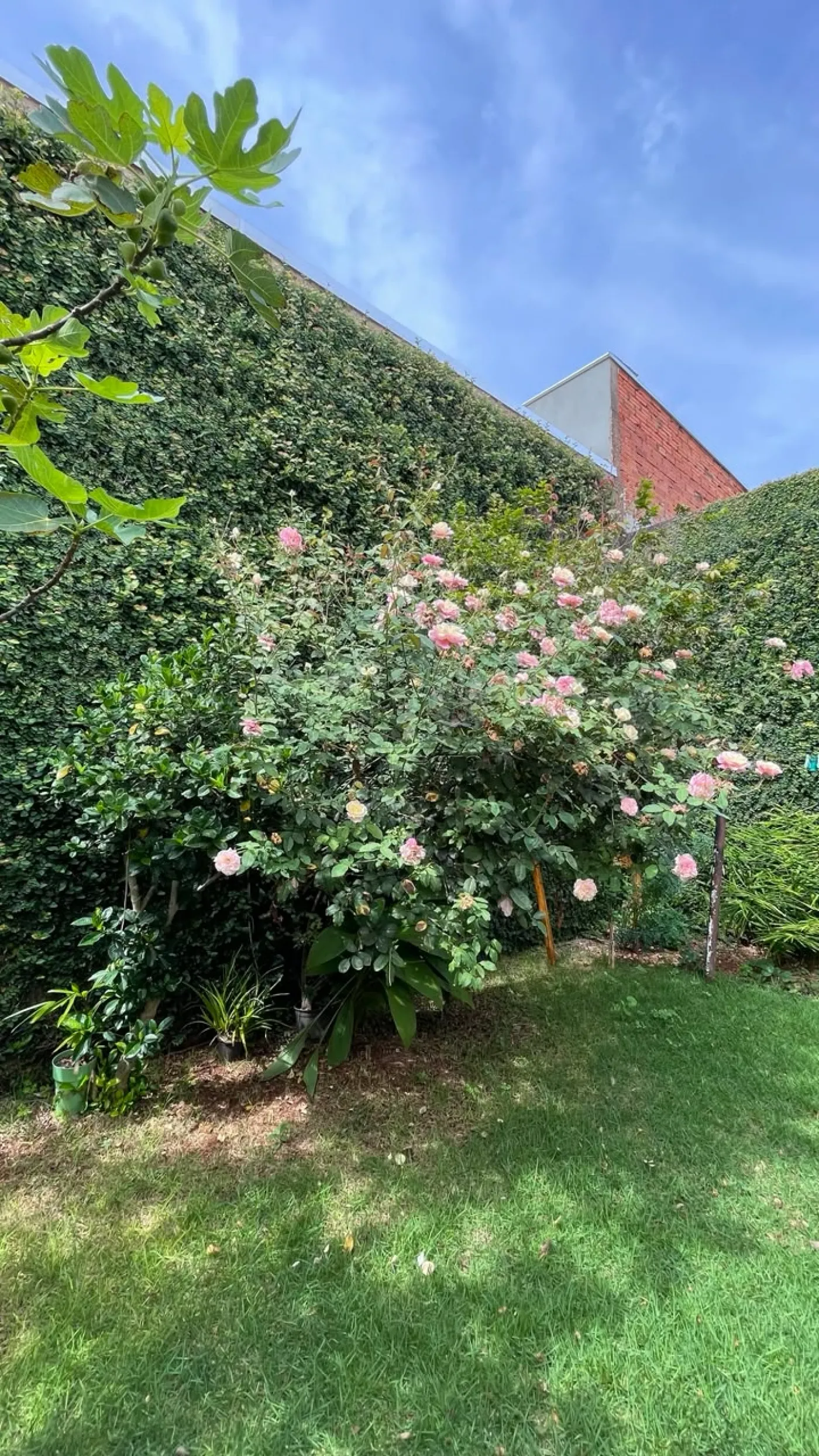 Comprar Casa / Padr&atilde;o em Len&ccedil;&oacute;is Paulista R$ 598.000,00 - Foto 9