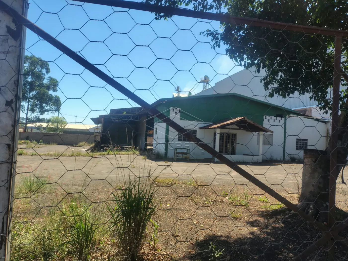 Alugar Comercial / Galp&atilde;o em Len&ccedil;&oacute;is Paulista R$ 5.500,00 - Foto 1