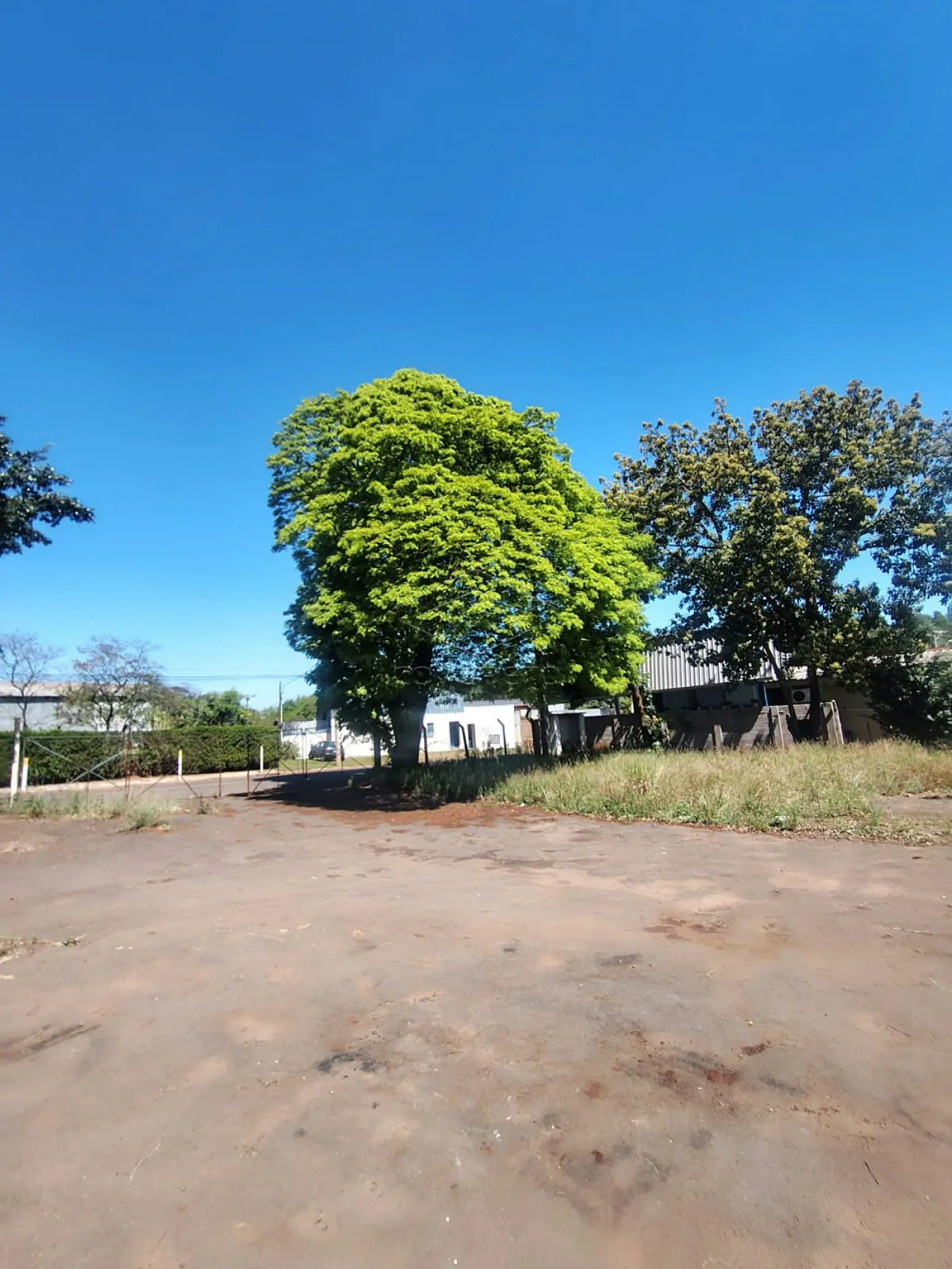Alugar Comercial / Galp&atilde;o em Len&ccedil;&oacute;is Paulista R$ 5.500,00 - Foto 10