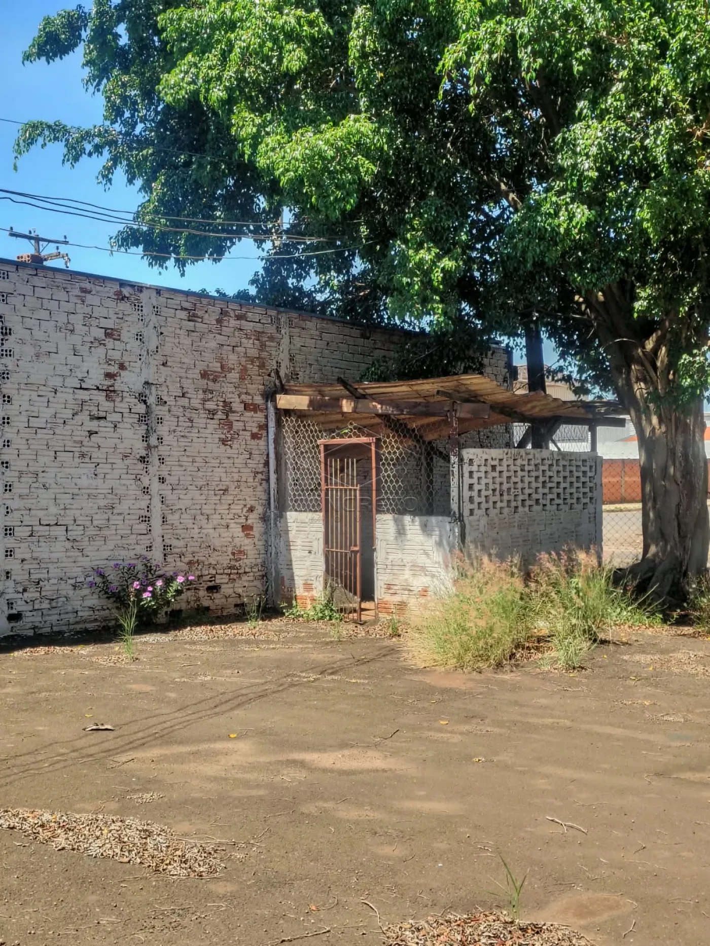 Alugar Comercial / Galp&atilde;o em Len&ccedil;&oacute;is Paulista R$ 5.500,00 - Foto 12