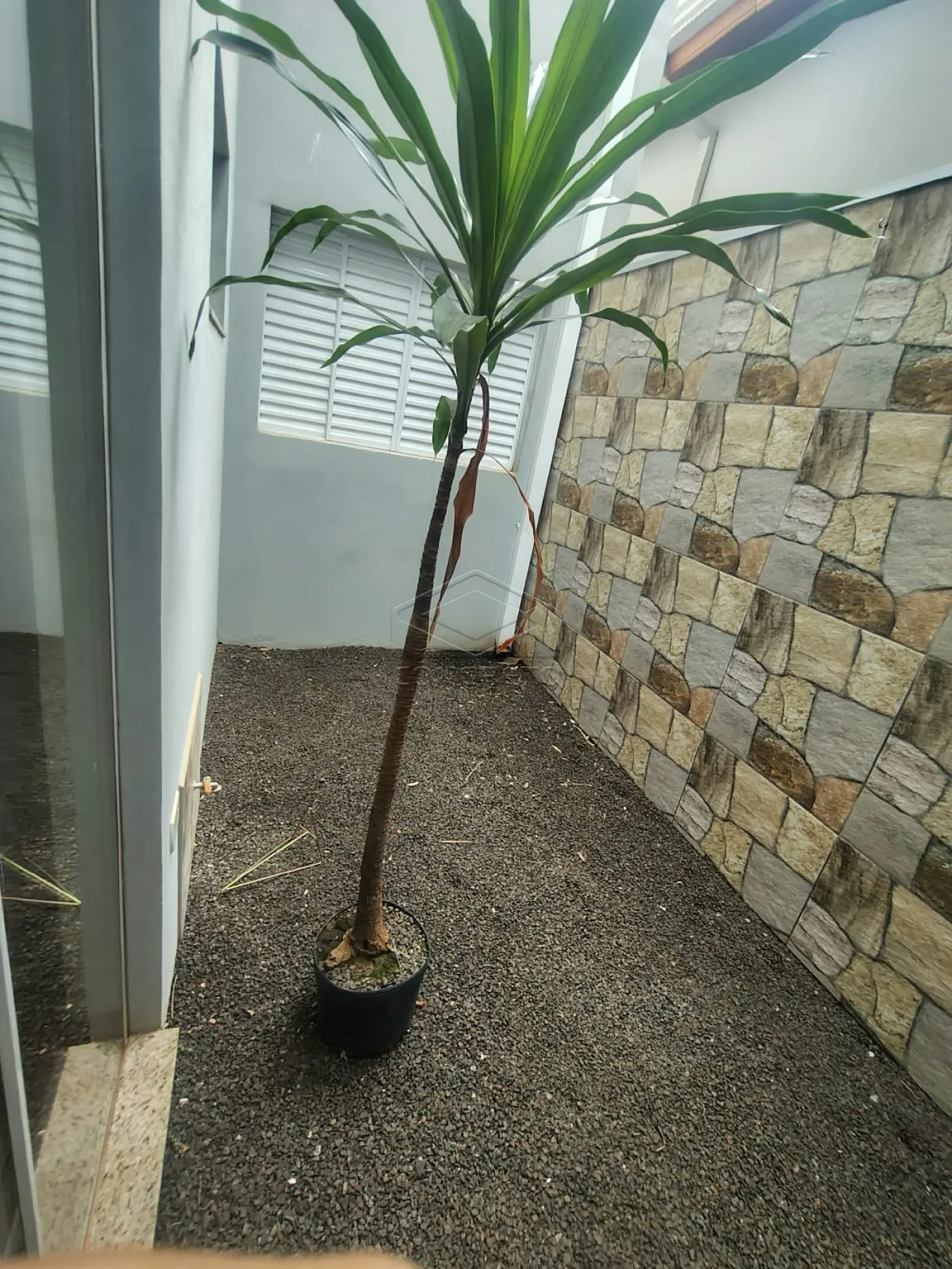 Alugar Casa / Padr&atilde;o em Len&ccedil;&oacute;is Paulista R$ 3.500,00 - Foto 2