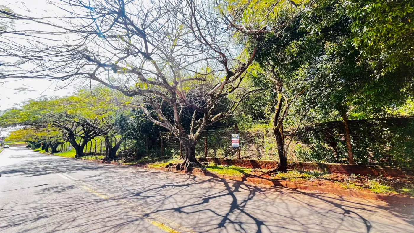 Comprar Terreno / &Aacute;rea em Len&ccedil;&oacute;is Paulista - Foto 2