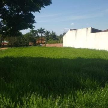 Arealva Jardim Primavera Terreno Venda R$150.000,00 