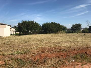Bauru Jardim Europa Terreno Venda R$365.000,00  Area do terreno 388.00m2 
