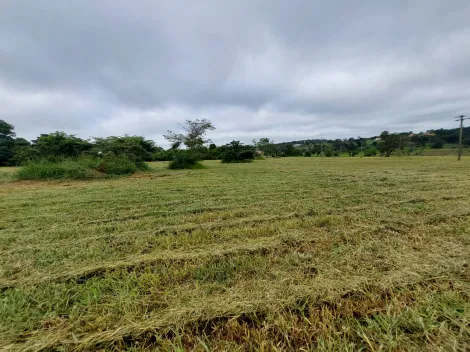 Arealva Jardim Vitoria Terreno Venda R$450.000,00  Area do terreno 7685.45m2 