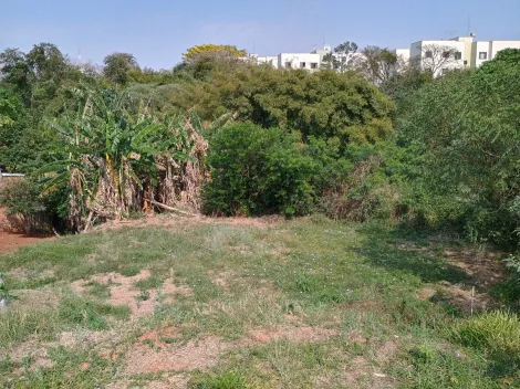 Botucatu Jardim Bom Pastor Terreno Venda R$220.000,00  Area do terreno 445.00m2 