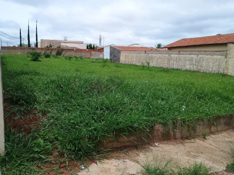 Botucatu Centro Terreno Venda R$195.000,00  Area do terreno 350.00m2 