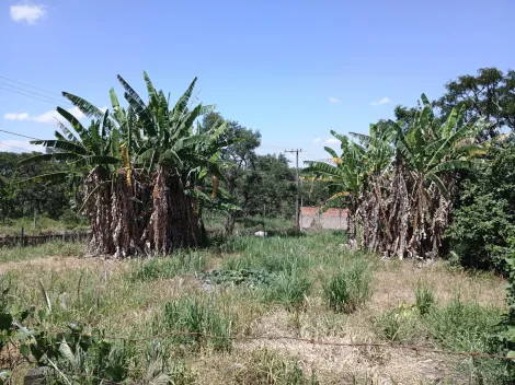 Botucatu Parque dos Pinheiros Terreno Venda R$70.000,00  Area do terreno 250.00m2 