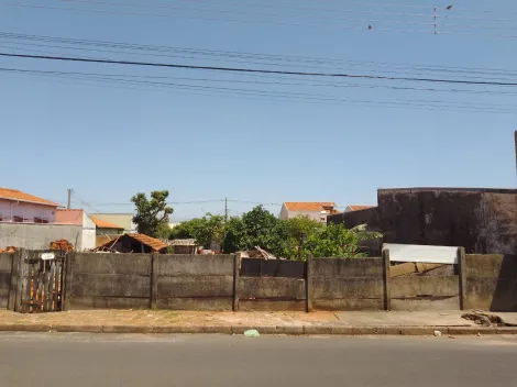 Botucatu Vila Nova Botucatu Terreno Venda R$500.000,00  Area do terreno 500.00m2 