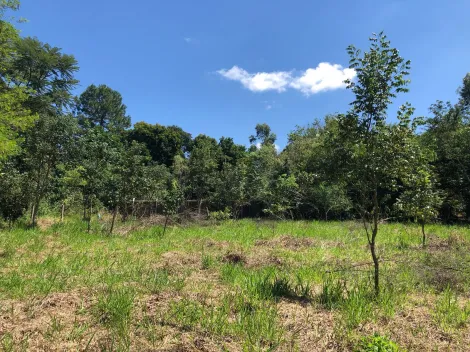 Bauru Loteamento Chacaras Bauruenses II Area Venda R$300.000,00  Area do terreno 5000.00m2 