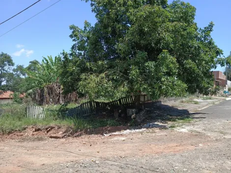 Botucatu Parque dos Pinheiros Terreno Venda R$250.000,00  Area do terreno 1000.00m2 
