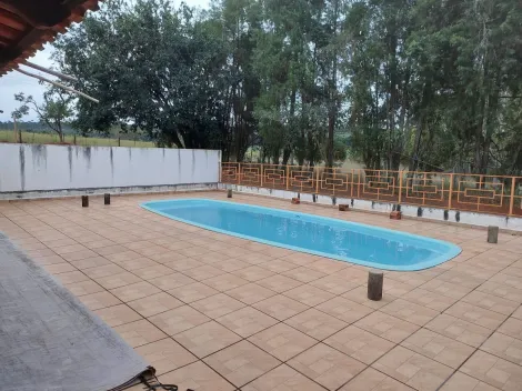 Arealva Santa Izabel rural Venda R$580.000,00 2 Dormitorios 3 Vagas Area do terreno 20000.00m2 