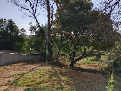 Botucatu Jardim Bom Pastor Area Venda R$300.000,00  Area do terreno 1326.00m2 